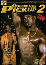 Poster for Queens Plaza Pickup 2: Parole Denied