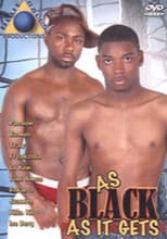 Poster for As Black as It Gets