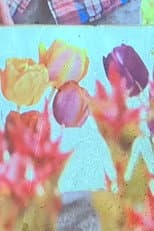 Poster for jolies fleurs une vie meilleure