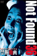 Poster for Not Found 36