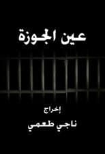 Poster for Ain El Jawze