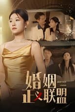 Poster for 婚姻正义联盟