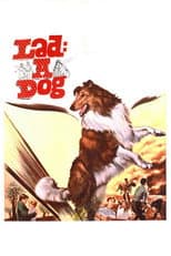 Poster for Lad: A Dog