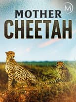 Poster for Cheetah Mom