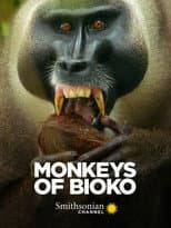 Poster for Monkeys of Bioko