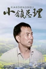Poster for 小镇总理