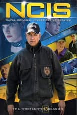 Poster for Season 13