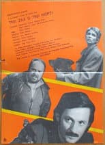Poster for Three Days and Three Nights