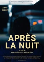 Poster for After the Night