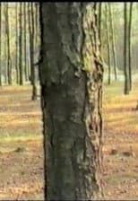 Poster for Dancing with Trees