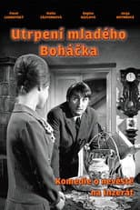 Poster for Young Bohácek's Sufferings