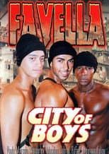 Poster for Favella: City of Boys 1
