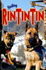 Poster for Finding Rin Tin Tin