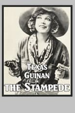 Poster for The Stampede