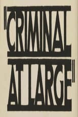 Poster for A Criminal at Large