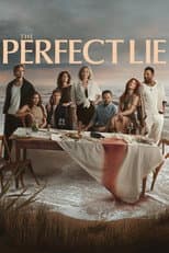 Poster for The Perfect Lie
