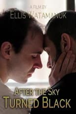 Poster for After the Sky Turned Black