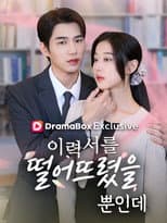 Poster for The CEO's Secret Lover