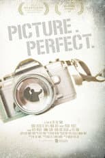 Poster for Picture. Perfect.