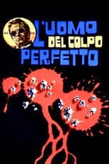 Poster for Hot Diamonds in Cold Blood