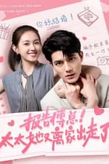 Poster for 报告傅总！太太她又离家出走了