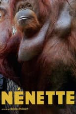 Poster for Nénette