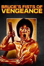 Poster for Bruce's Fists Of Vengeance