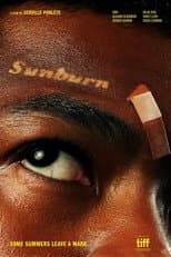 Poster for Sunburn