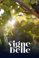 Poster for La vigne est belle