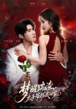 Poster for 梦醒踹渣，太子爷拐我回家