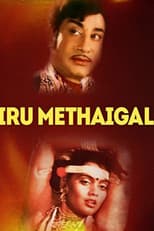 Poster for Iru Medhaigal