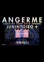 Poster for ANGERME Concert Tour 2018 Haru Juunin Toiro + Final