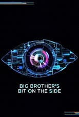 Poster for Big Brother's Bit on the Side
