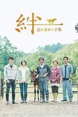 Poster for Ties: A Miraculous Colt