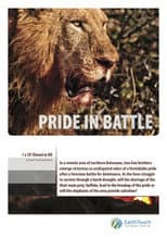 Poster for Pride in Battle