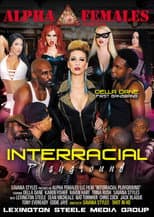 Poster for Interracial Playground
