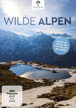 Poster for The Alps