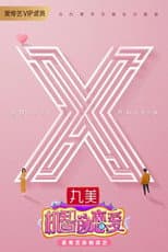 Poster for The Secret X
