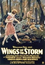 Poster for Wings of the Storm