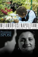 Poster for Metamorfosi Napoletane