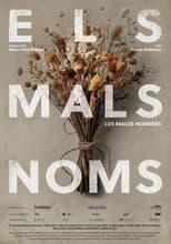 Poster for Els mals noms