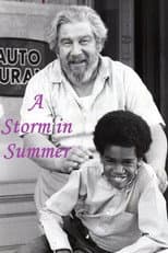 Poster for A Storm in Summer
