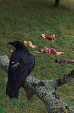 Poster for The Bird Game