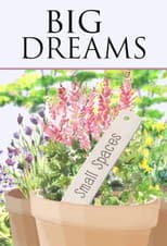 Poster for Big Dreams Small Spaces