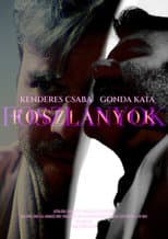 Poster for FOSZLÁNYOK