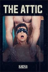 Poster for The Attic