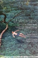 Poster for La vie en gros