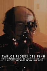 Poster for Cinco hipótesis acerca de las turbulencias que pueden ocurrir una noche en una pieza de hotel
