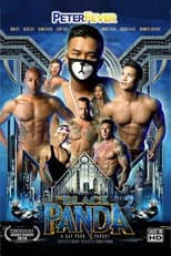 Poster for The Black Panda 2