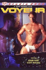 Poster for Voyeur